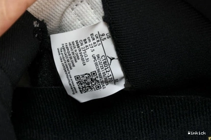 Air 11 CT8012-170 Jordan  “DMP” 1028